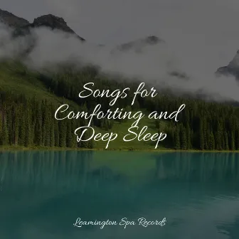 Songs for Comforting and Deep Sleep by Deep Sleep Brown Noise