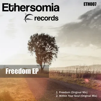 Freedom EP by Matt Ether