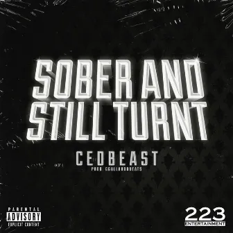 Sober And Still Turnt by CEDBEAST