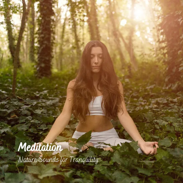 Meditation: Nature Sounds for Tranquility