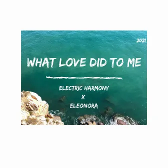 What Love Did to Me by Eleonora