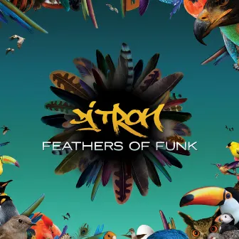 Feathers of Funk by DJ Tron