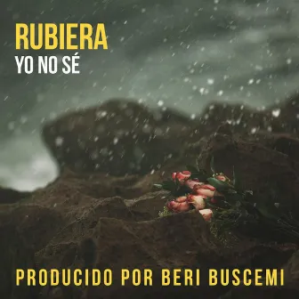 Yo no se (Radio Edit) by Rubiera