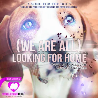 (We Are All) Looking for Home by Diane Warren