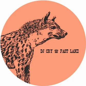 Fast Lane by Dj Cry