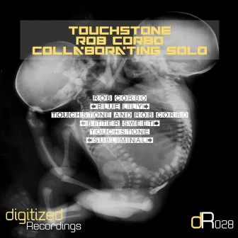 Collaborating Solo by Touchstone