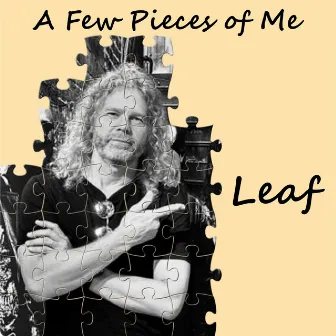 A Few Pieces of Me by Leaf