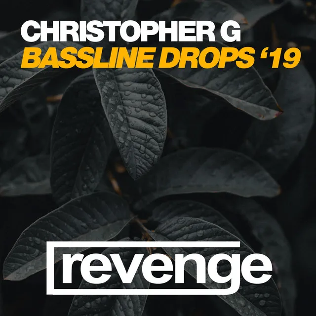 Bassline Drops