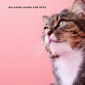 Music For Your Cat by Relaxing Piano For Pets