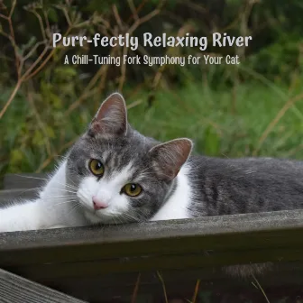 Purr-fectly Relaxing River: A Chill-Tuning Fork Symphony for Your Cat by Moods & Water sounds