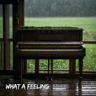 What a Feeling by 