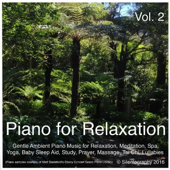 Piano for Relaxation, Vol. 2 (Gentle Ambient Piano Music for Relaxation, Meditation, Spa, Yoga, Baby Sleep Aid, Study, Prayer, Massage, Tai Chi, Lullabies) by Silentography