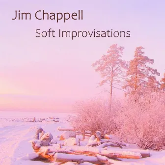 Soft Improvisations by Jim Chappell