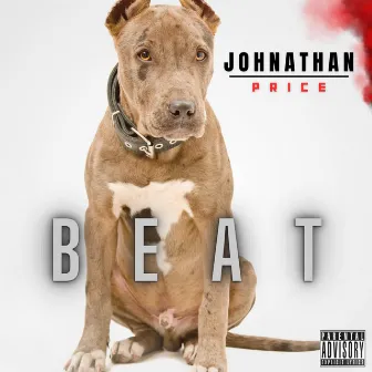 BEAT by Johnathan Price