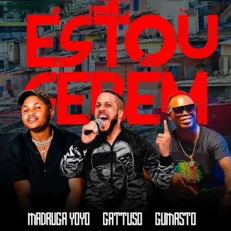 Estou Sebem by Gattuso