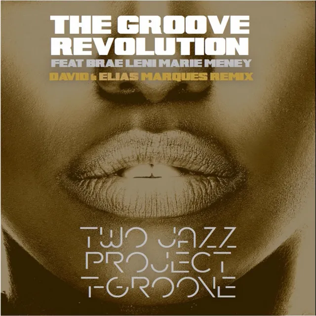 The Groove Revolution - David Marques & Elias Marques Remix