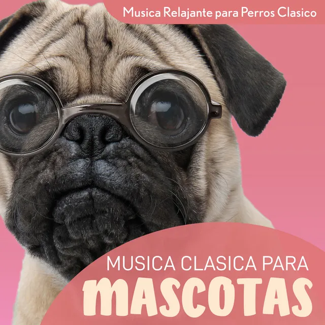 Musica Relajante para Perros Clasico