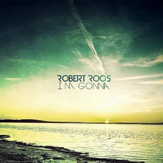 Im Gonna by Robert Roos