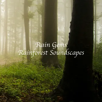 Rainforest Soundscapes by Rain Gems