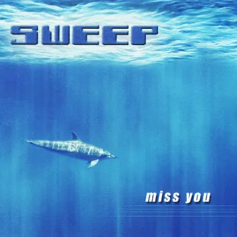 Miss You by Sweep