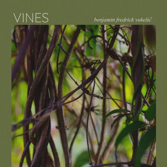 Vines