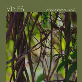 Vines by Benjamin Fredrick Vukelić