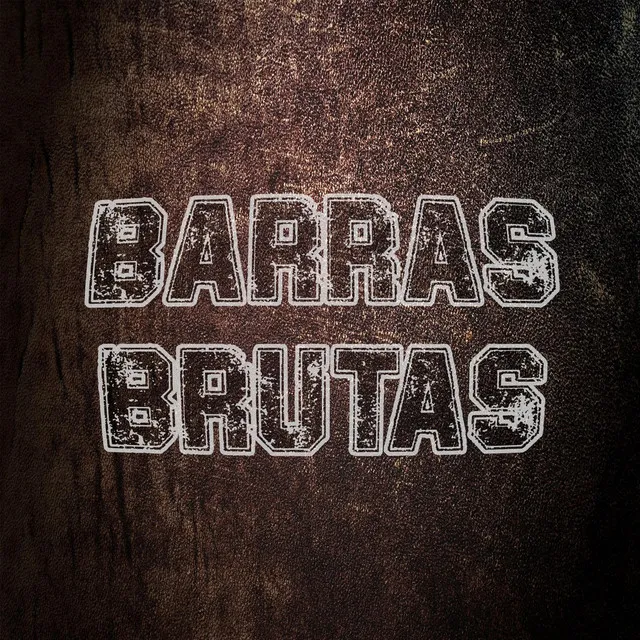 Barras brutas 5