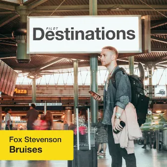 Bruises (Destinations) by Fox Stevenson