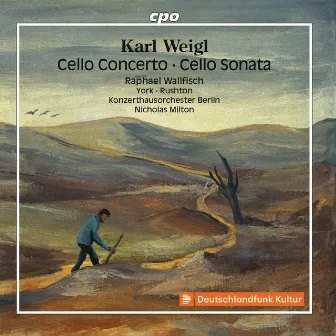 Weigl: Cello Concerto, Cello Sonata & Other Works by Karl Weigl