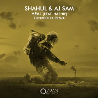 Heal (TUN3BOOK Remix) by Shahul