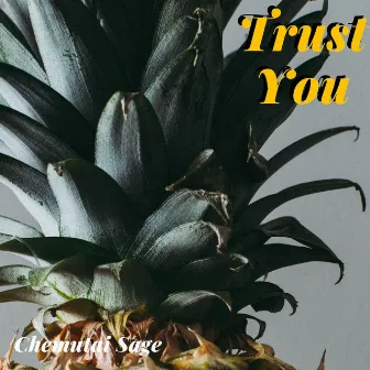 Trust You by Chemutai Sage