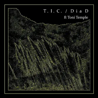 DIA D by T.I.C.