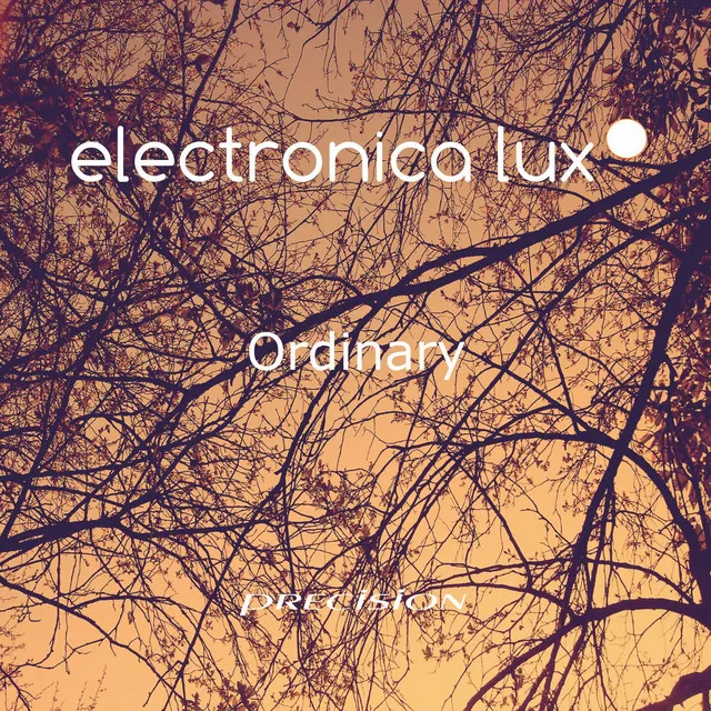 Ordinary - Original Mix