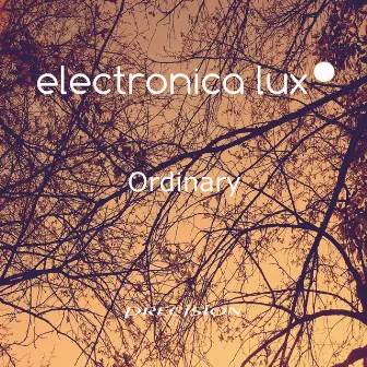 Ordinary by Electronica Lux