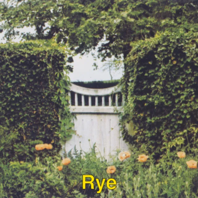 Rye