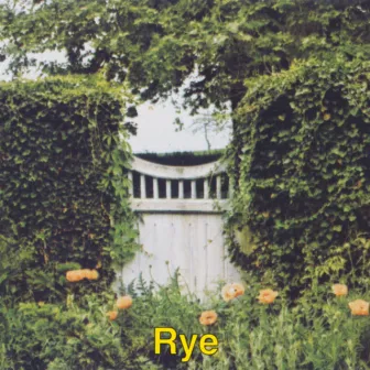 Rye by Dexter Francis Mason