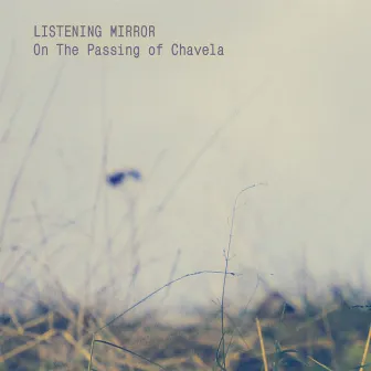 On The Passing Of Chavela by Listening Mirror