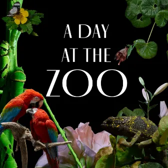 A Day at the Zoo by Felix Thoma