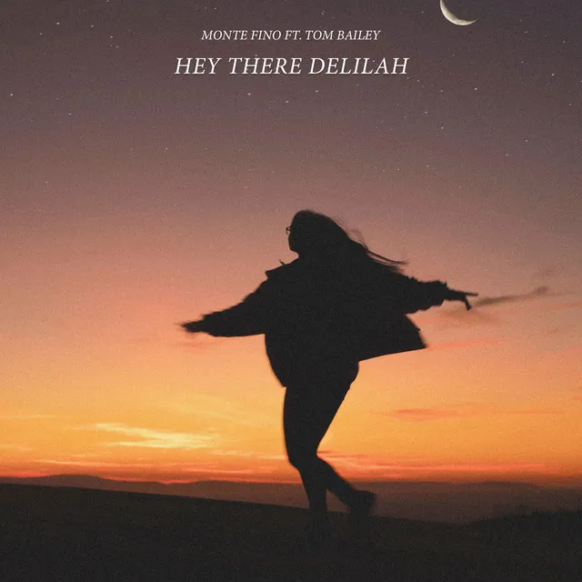 Hey There Delilah (feat. Tom Bailey)