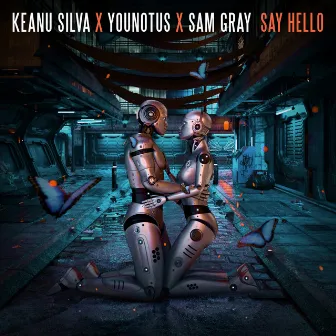 Say Hello by Sam Gray