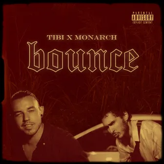 Bounce by Tibi X Monarch