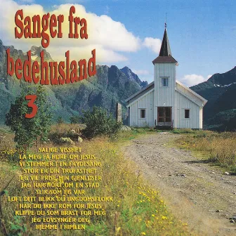 Sanger Fra Bedehusland 3 by Bedehusland