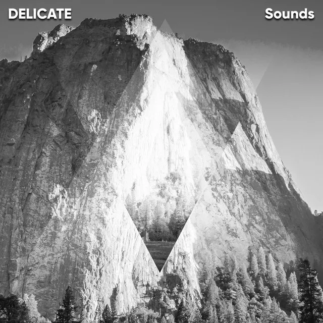 #12 Delicate Sounds for Meditation & Deep Relaxation