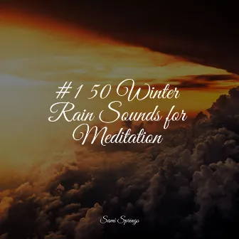 #1 50 Winter Rain Sounds for Meditation by Binaural Beats Brain Waves Isochronic Tones Brain Wave Entertainment