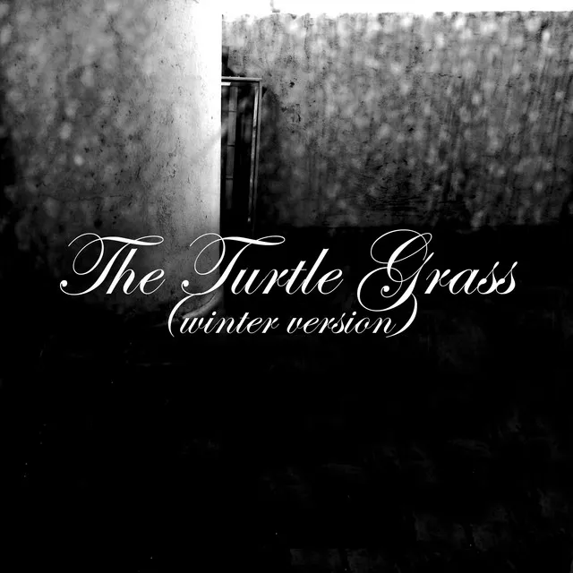 The Turtle Grass (Winter Version)