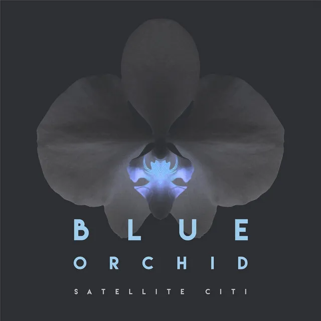 Blue Orchid