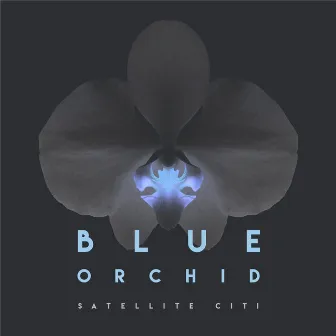 Blue Orchid by Satellite Citi