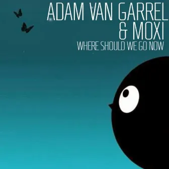 Where Should We Go Now by Adam van Garrel