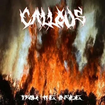 From The Inside by Callous