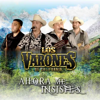 Ahora Me Insistes by Los Varones De California